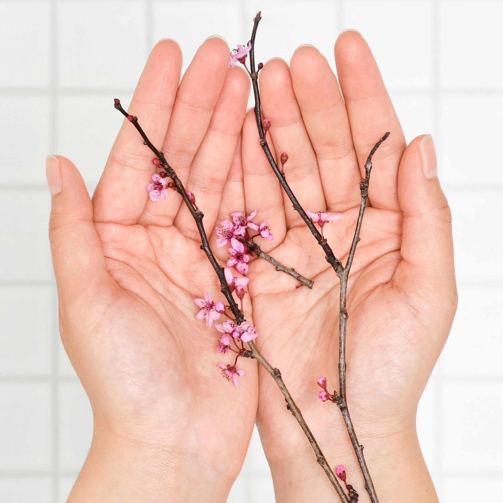 Cherry Blossom Pure Castile Magic Soap - Image 11